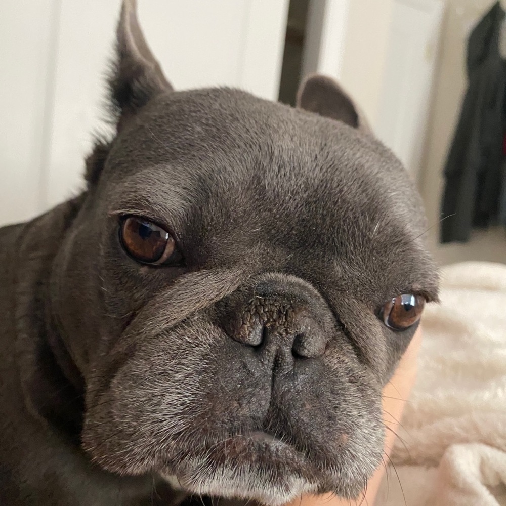 Meet your Posher, Drew